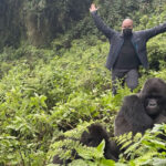 Perfect Gorilla Trek