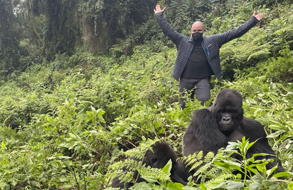 Perfect Gorilla Trek