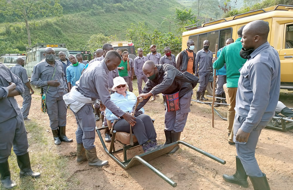 Elderly gorilla Trek